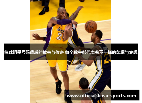 篮球明星号码背后的故事与传奇 每个数字都代表着不一样的荣耀与梦想