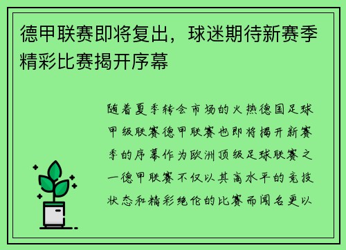 德甲联赛即将复出，球迷期待新赛季精彩比赛揭开序幕